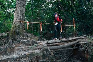 BIB: 
                            <button type="button" onclick="openModal(27806846)" class="btn btn-primary btn-sm float-right btn-popup" data-toggle="modal" data-target=".modal-high-quality">
                        <i class="fas fa-shopping-cart"></i> Add to Cart
                    </button>
                                            <button type="button" onclick="isThisMe(27806846, true)" class="btn btn-success btn-sm float-right btn-popup btn-isme hidden" data-toggle="tooltip" data-placement="bottom" title="นี่คือรูปของคุณใช่ไหม คลิกที่นี่เพื่อเอาเข้าอัลบั้ม">
                        <i class="fas fa-plus"></i> Add to album
                    </button>
                    <button type="button" onclick="isThisMe(27806846, false)" class="btn btn-warning btn-sm float-right btn-popup btn-isnotme hidden">
                        <i class="fas fa-ban"></i> Remove from album
                    </button>